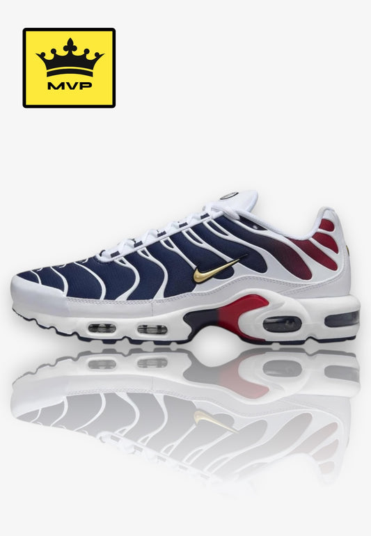 Nike Air Max Plus TN - Paris Saint Germain