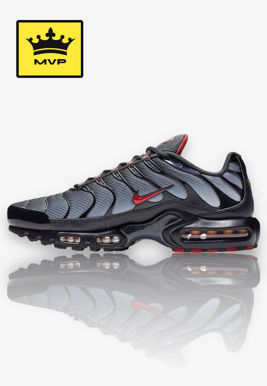 Nike Tn Air Max plus Grey Gradient red