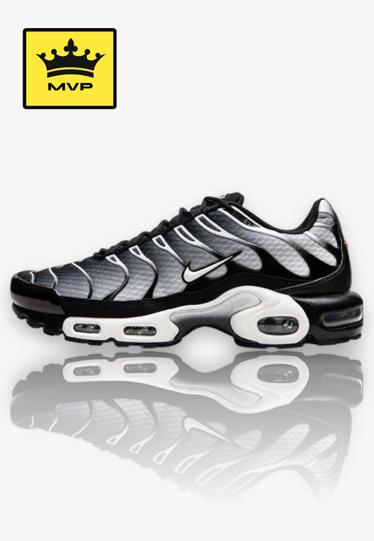 Nike Air Max Plus TN - Black & Silver